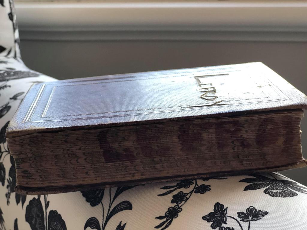 Sideways view of old textbook School History of England. Lefroy has been carved into the front cloth cover and painted on the forepages. Owned by Annette (Bessie) Lefroy (1856-1896) 